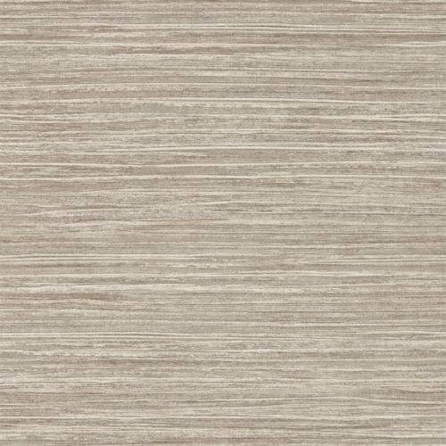 Oralia 111439